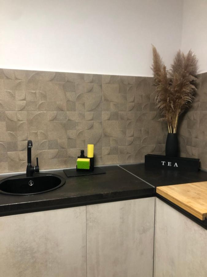Studio Apartman Avenija *** سلافونسكي برود المظهر الخارجي الصورة